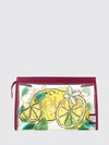 woman's handbag chloé