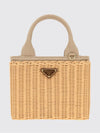 woman's mini bag