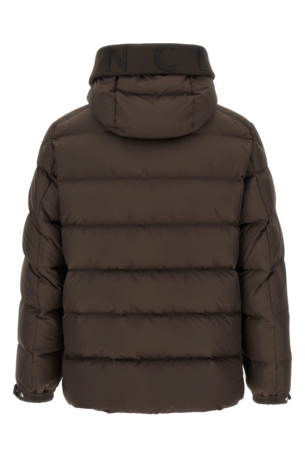 the moncler orvelle down jacket