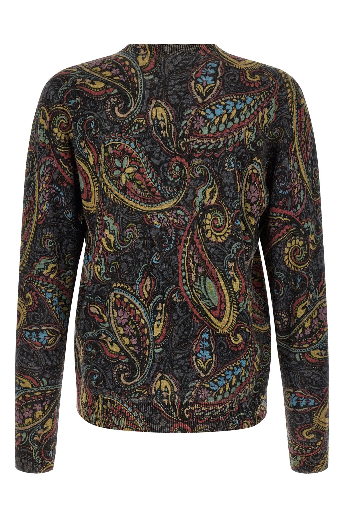 the crewneck sweater etro
