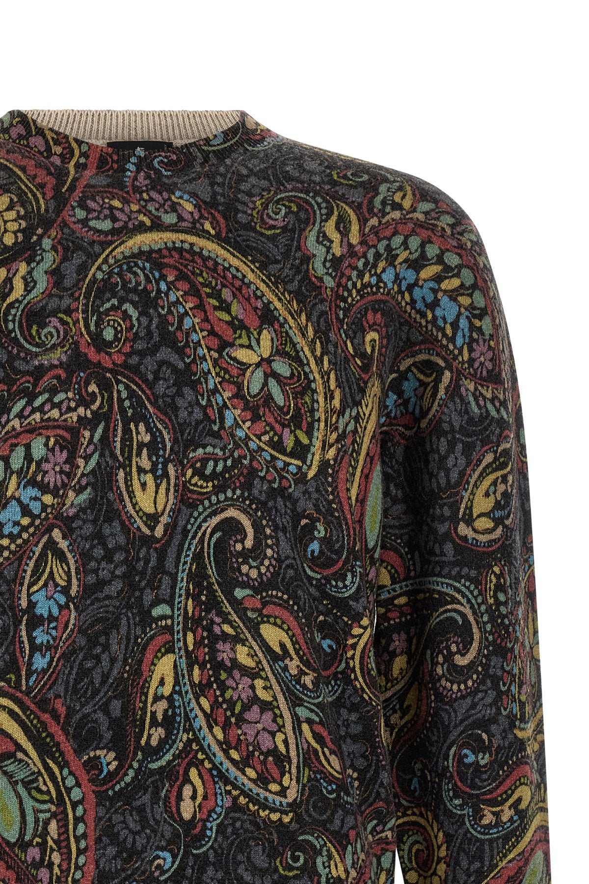 the crewneck sweater etro