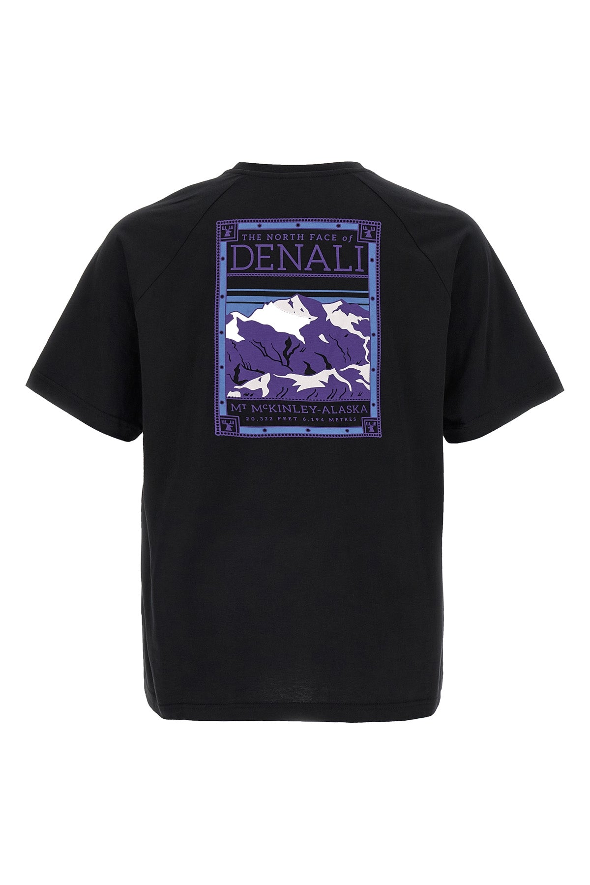 north faces cotton jersey t-shirt