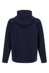 the lacoste sweatshirt