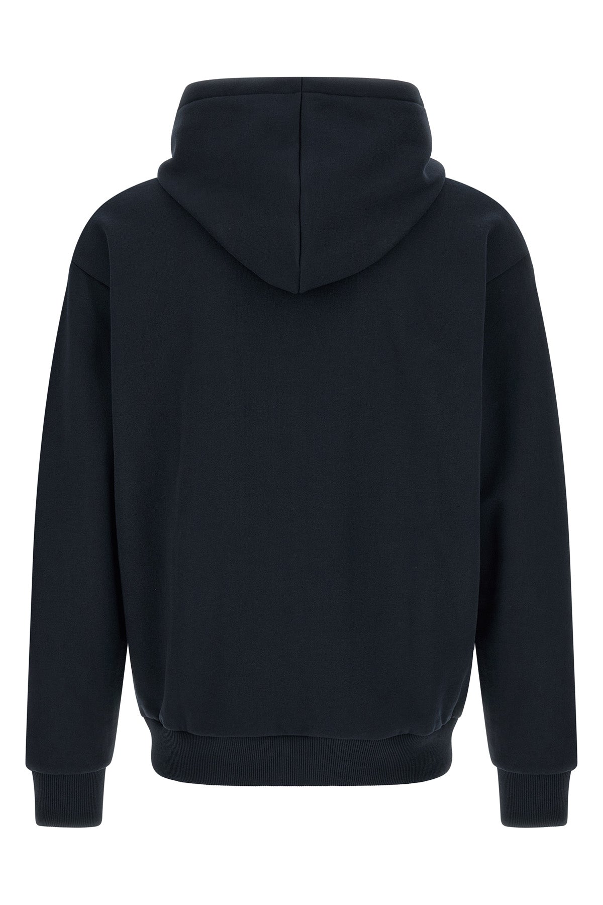 the lacoste sweatshirt