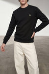the lacoste sweatshirt