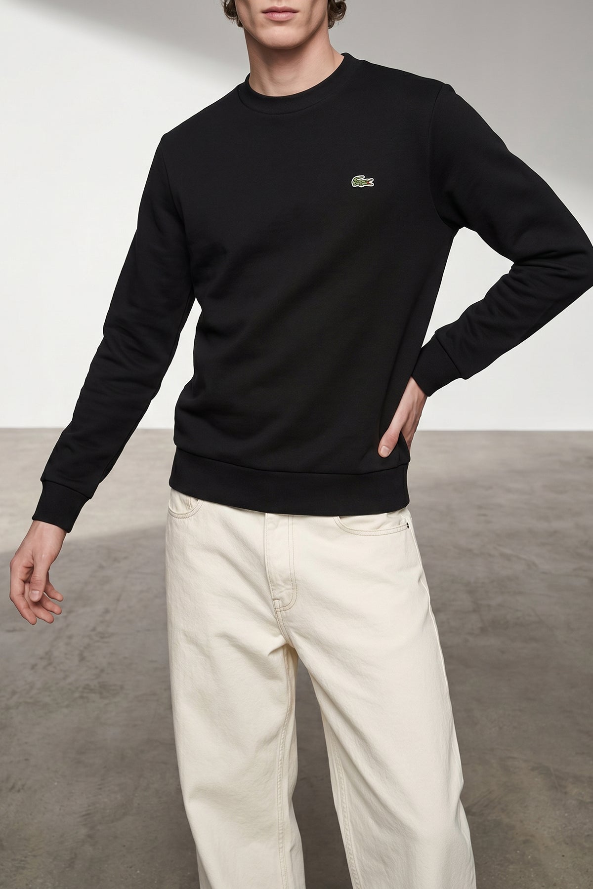 the lacoste sweatshirt