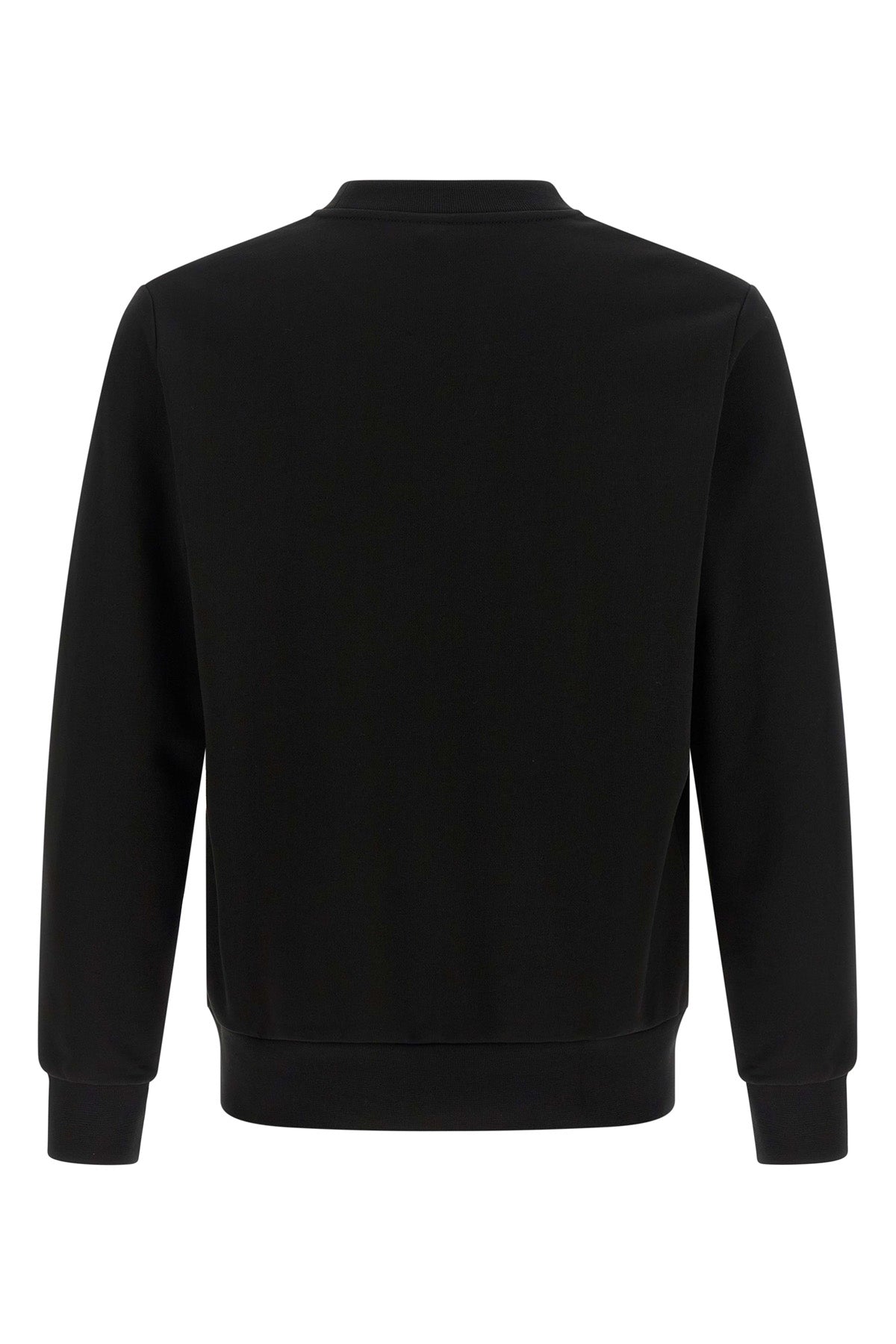 the lacoste sweatshirt