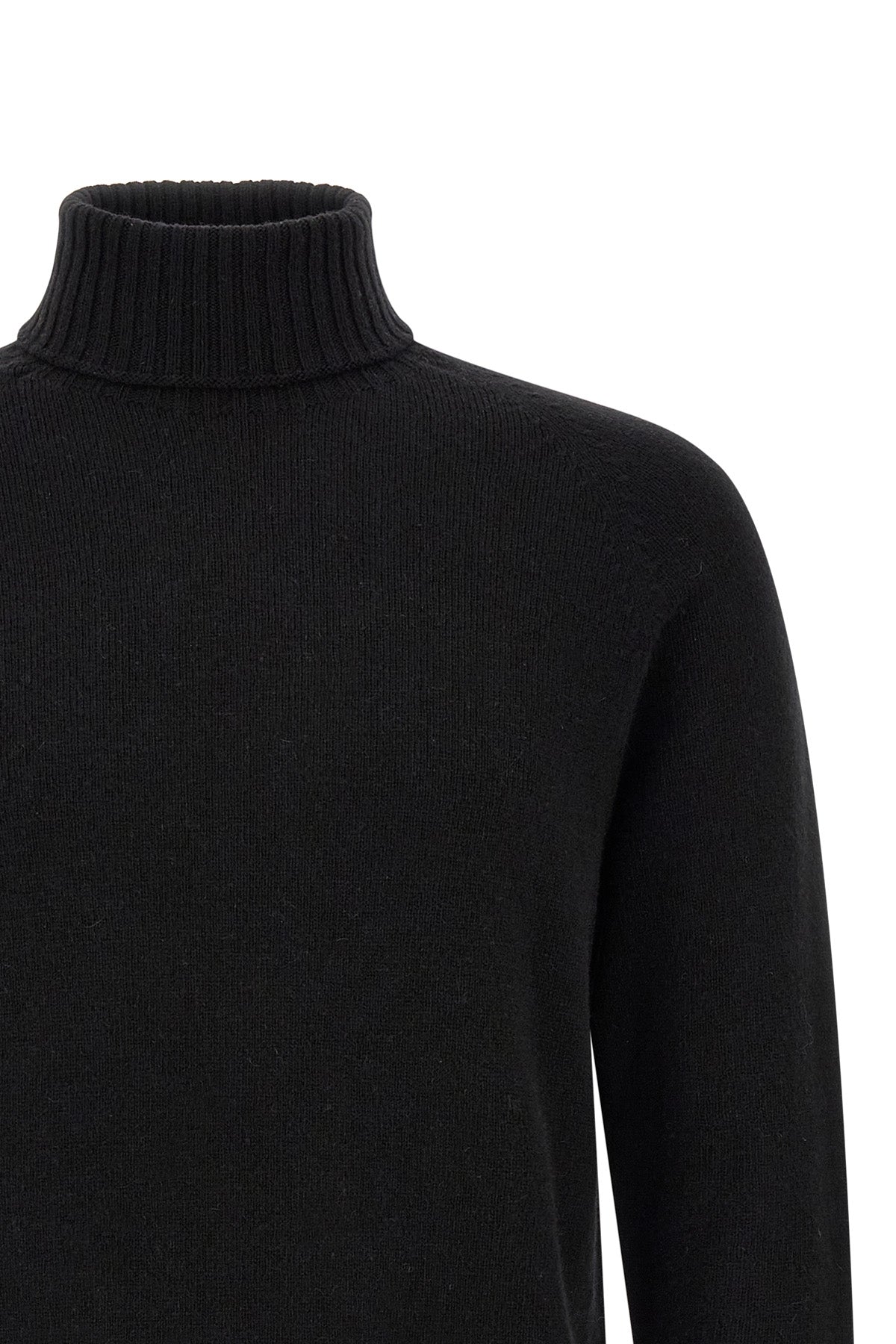 the turtleneck knit maryya