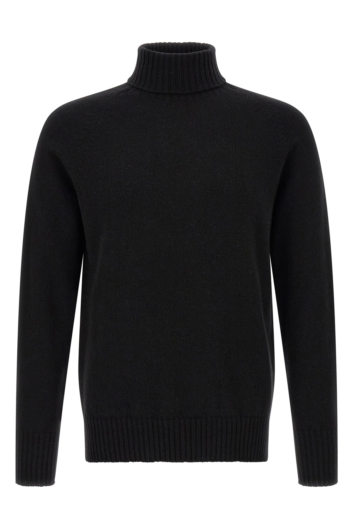 the turtleneck knit maryya