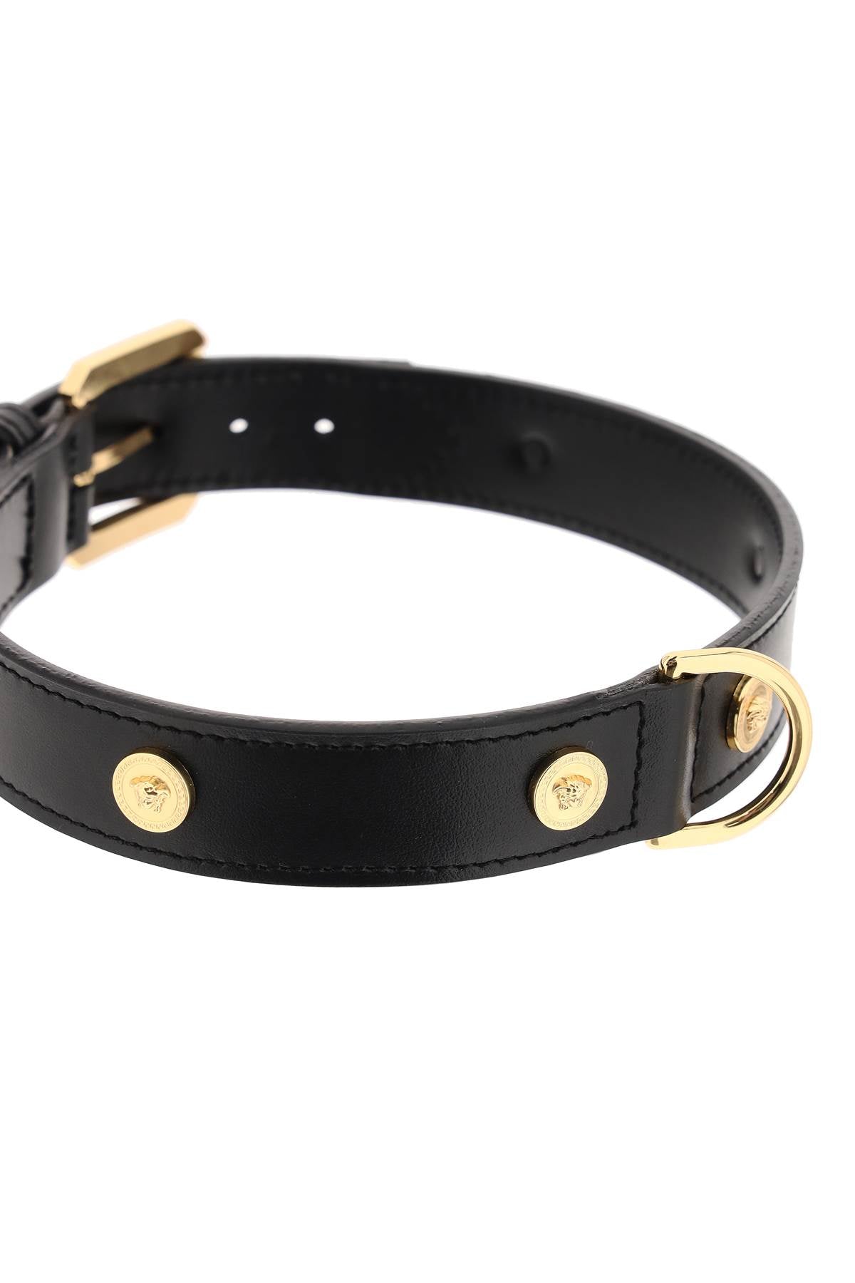 leather collar with medusa studs - large