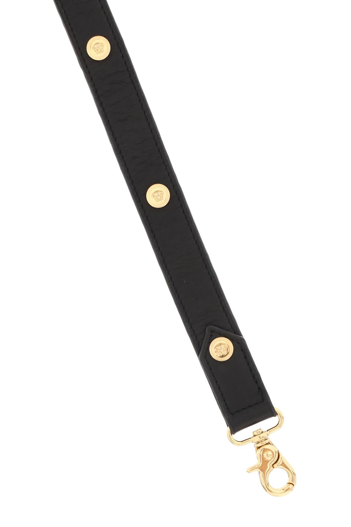 leather leash with medusa studs