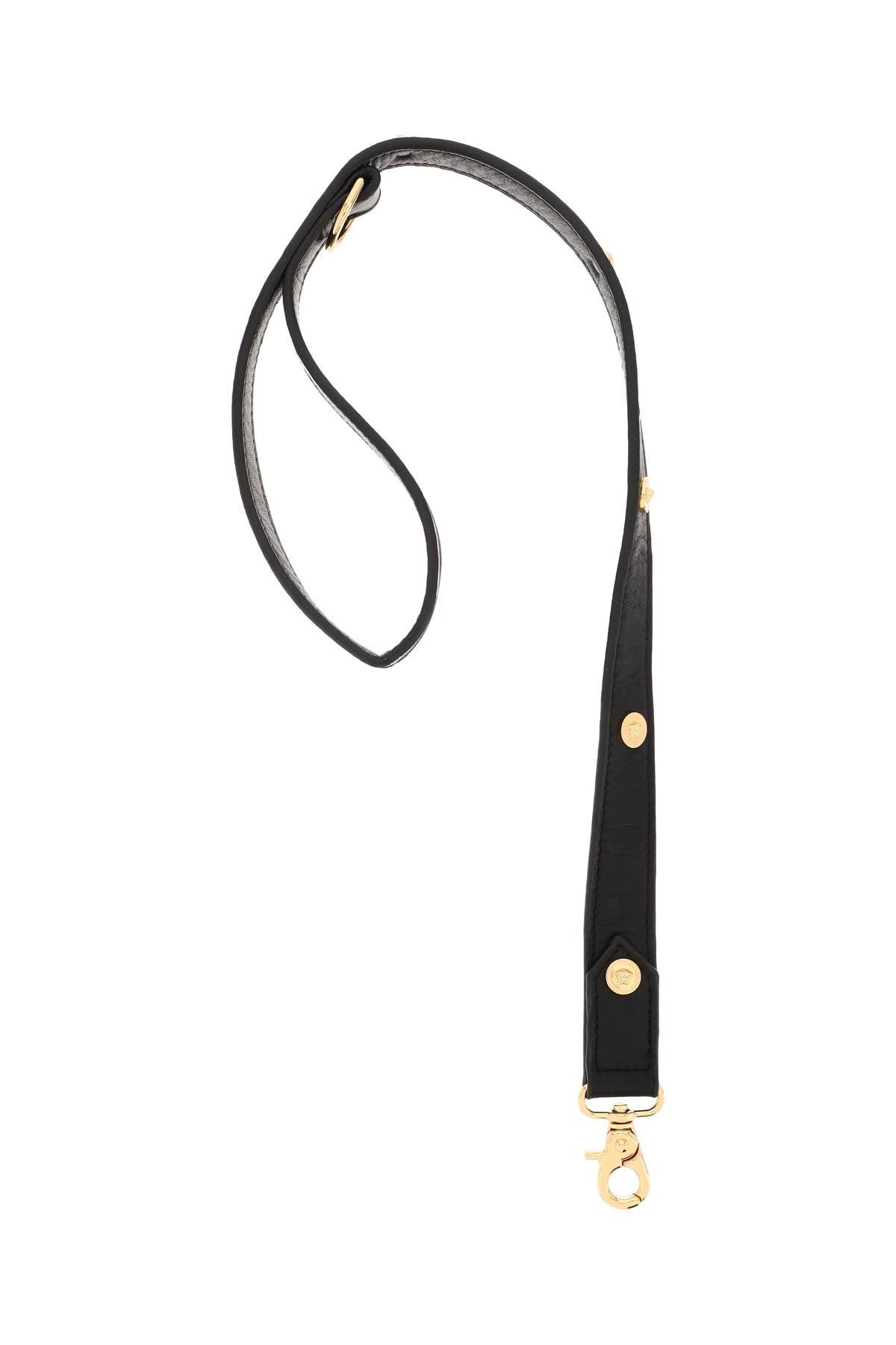 leather leash with medusa studs