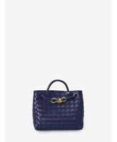 Bottega veneta small andiamo bag