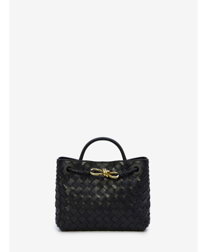 Bottega veneta small andiamo bag