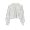 voile ruffled short blouse