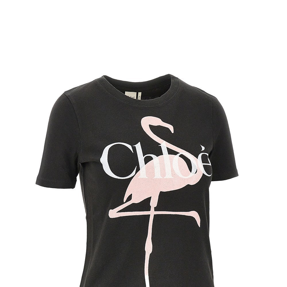 CHLOE&