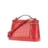 leather petit vanity bag