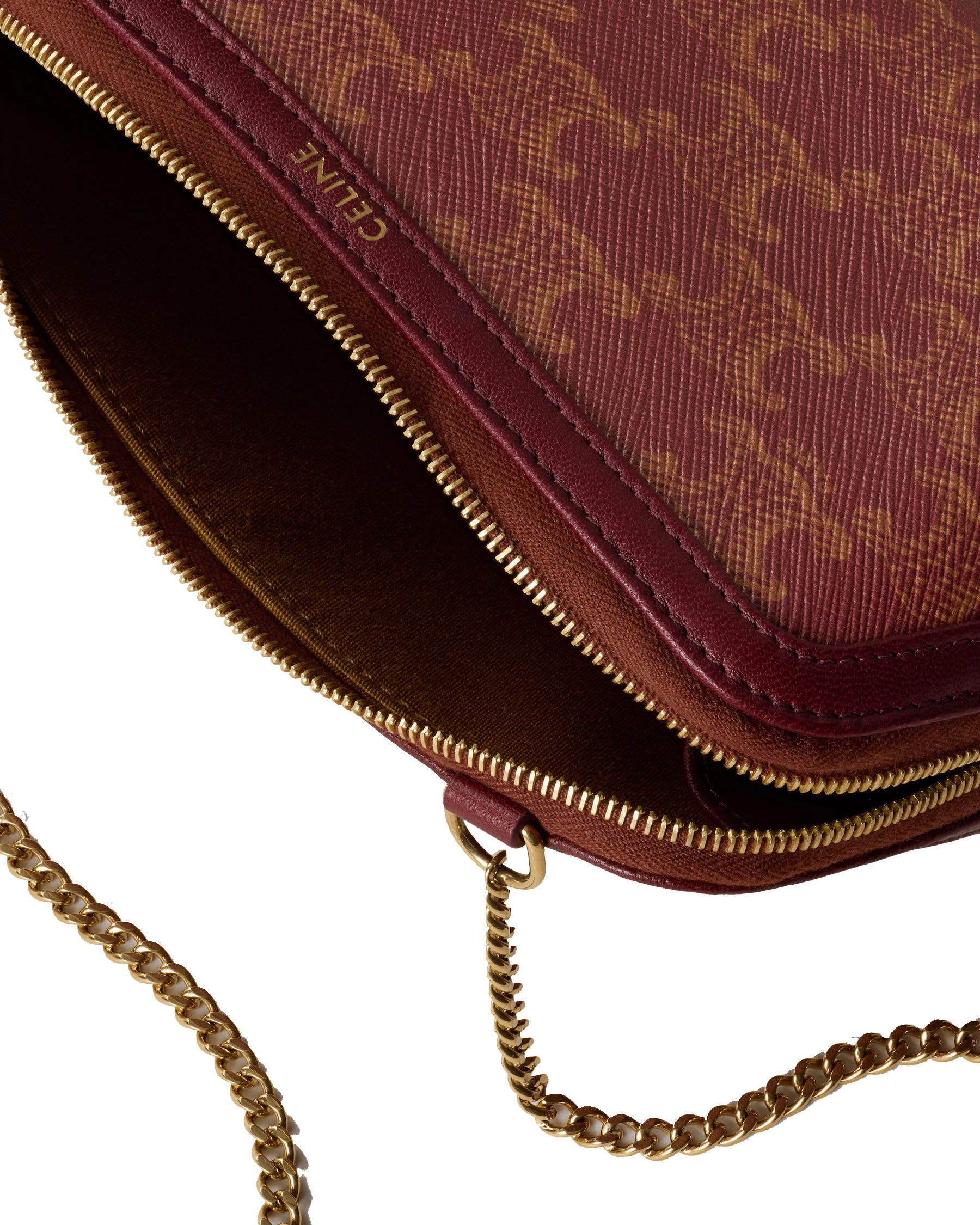 Clutch on Chain Triomphe Canvas Bag