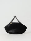 woman's mini bag
