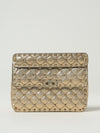 woman's mini bag