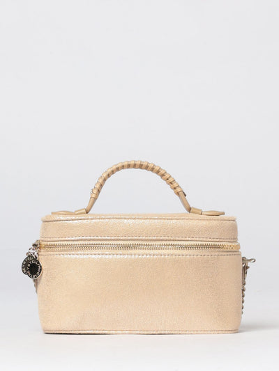 woman's mini bag