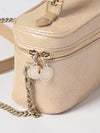 woman's mini bag