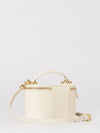 woman's mini bag